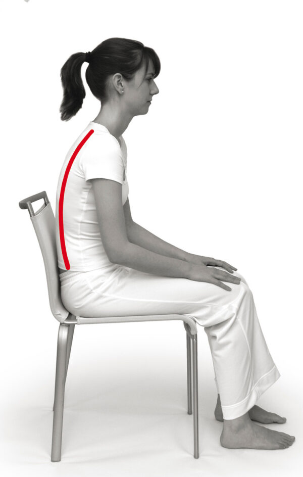 SISSEL® SIT SPECIAL, 2 in 1 hall kiilukujuline ortopeediline istumispadi - Image 6